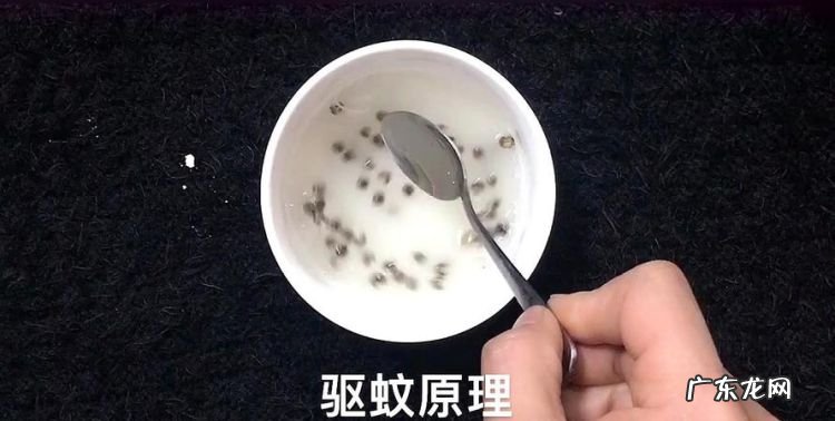 家里蚊子太多怎么办教你一招,家里蚊子多怎么办教你一个小窍门