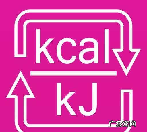 基础代谢kcal是什么意思,kcal是什么意思
