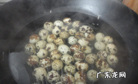 怎样煮鹌鹑蛋好吃,鹌鹑蛋怎么煮熟 鹌鹑蛋如何煮熟