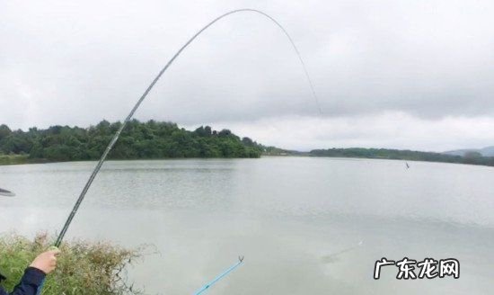 野钓草鱼钓底还是钓浮,夏季野钓草鱼钓底还是钓浮