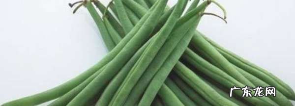 四季豆怎么斜切成丝,四季豆怎么斜切成丝