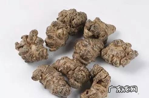 三七对肾的作用,吃三七粉对肾有影响