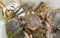 死蟹可以吃么,死螃蟹能吃会不会中毒
