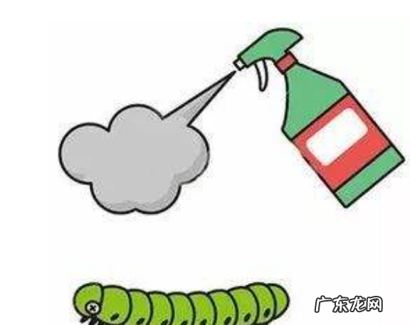 杀虫粉撒在家里有害,房间里喷杀虫剂有害