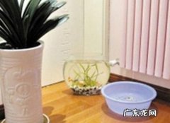 开空调要放一盆水保湿,开空调要放一盆水保湿
