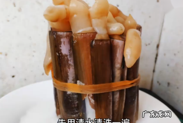 冰冻大竹蛏怎么清理内脏,大竹蛏怎么清理内脏