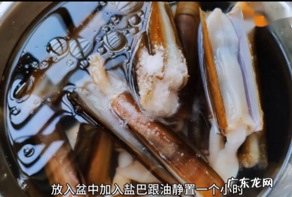 冰冻大竹蛏怎么清理内脏,大竹蛏怎么清理内脏