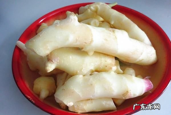 嫩姜泡醋做法窍门,醋泡嫩姜的正确做法步骤窍门