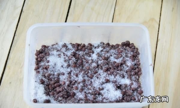 秘制红豆如何制作,蜜红豆的做法