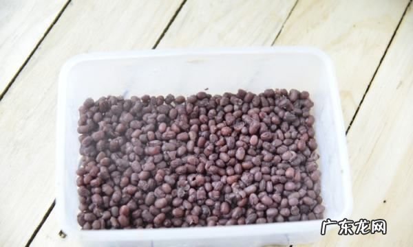秘制红豆如何制作,蜜红豆的做法