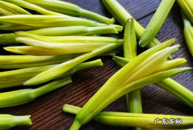 鲜金针菜怎么处理,金针花怎么处理才能吃
