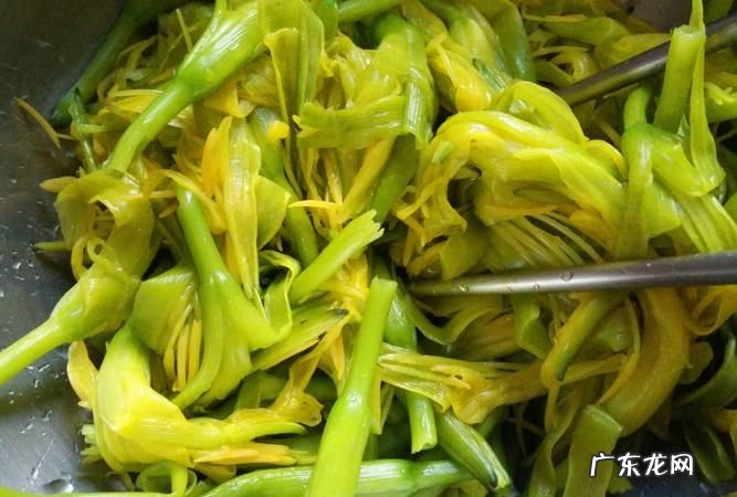 鲜金针菜怎么处理,金针花怎么处理才能吃