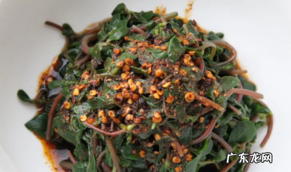 野菜马齿苋怎么做好吃,马齿菜怎么吃最好吃
