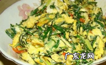 野菜马齿苋怎么做好吃,马齿菜怎么吃最好吃
