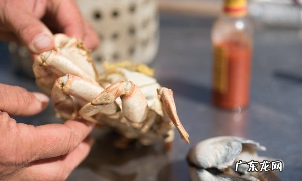 螃蟹几条腿 螃蟹靠什么呼吸,螃蟹有几条腿