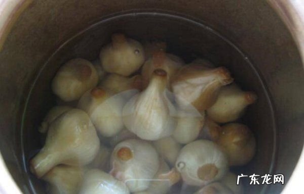 怎样腌咸蒜头好吃,盐咸蒜头不带糖的腌制方法