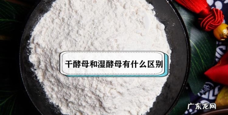 酵母可以放冰箱冷藏,酵母可以放冰箱里冷藏