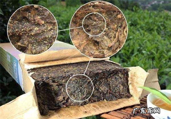 茶饼发霉怎样处理,茶叶发霉还能喝茶叶发霉了怎么处理
