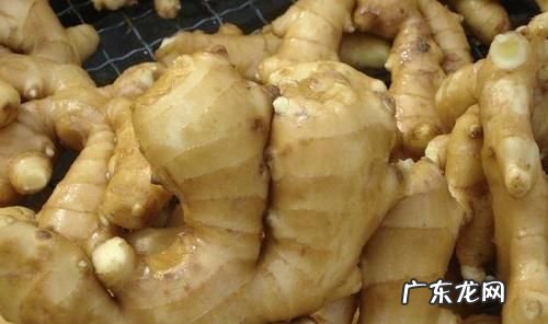 生姜怎么保存可以放的久一点,生姜存放半年以上不坏的方法