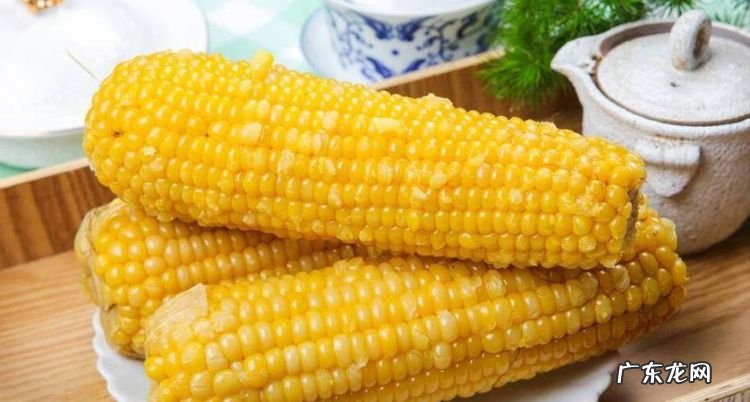 玉米保存冷藏还是冷冻,玉米是常温保存还是冷藏 玉米保存方法