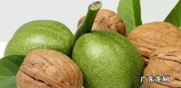 青核桃可以直接吃,核桃须须的食用方法