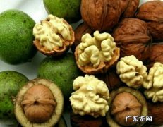 青核桃可以直接吃,核桃须须的食用方法