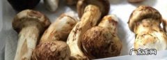 松茸冷藏可以保存几天,松茸放冰箱冷冻可以放多久
