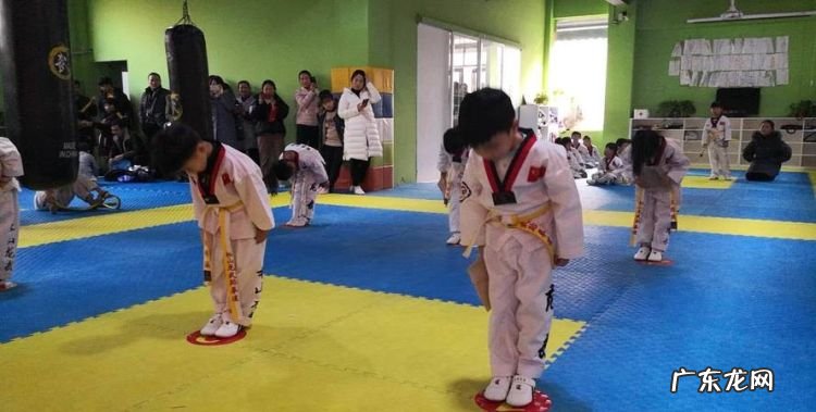 学跆拳道先学什么,跆拳道初学者要学什么
