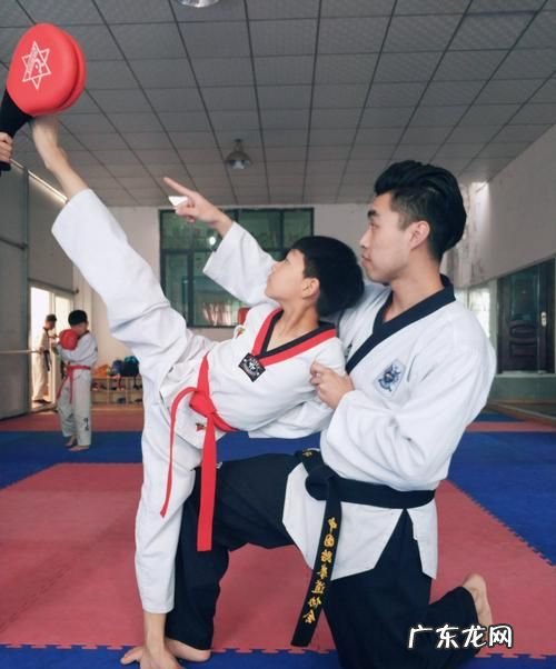 学跆拳道先学什么,跆拳道初学者要学什么