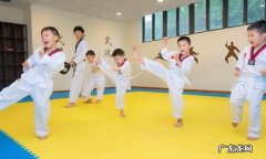 学跆拳道先学什么,跆拳道初学者要学什么
