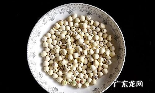 荷花莲子怎么吃,新鲜的荷花莲子怎么吃