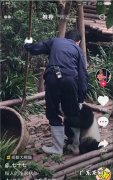 抖音怎么发长分钟,抖音怎么拍长教程