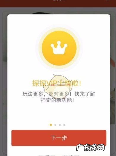 ios怎么买探探会员,探探黑金会员值得买