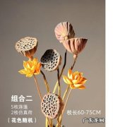 莲蓬怎么做成干花,莲蓬如何做成干花