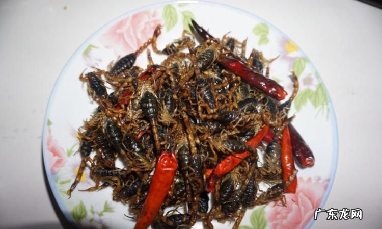 蝎子怎么炸着吃,蝎子炸多长时间能熟