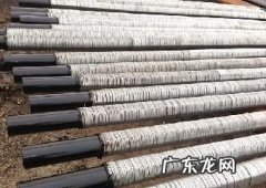 筛管运输什么,筛管是植物体内运输什么的管道