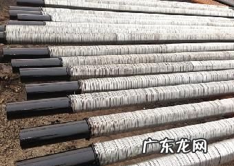 筛管运输什么,筛管是植物体内运输什么的管道