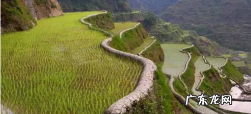 什么叫耕地和非耕地,纳税人新征用的耕地与非耕地分别是什么意思