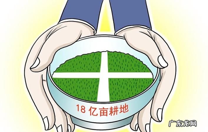 什么叫耕地和非耕地,纳税人新征用的耕地与非耕地分别是什么意思