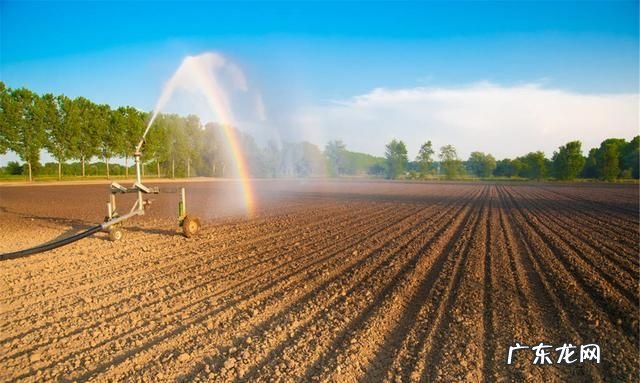 什么叫耕地和非耕地,纳税人新征用的耕地与非耕地分别是什么意思