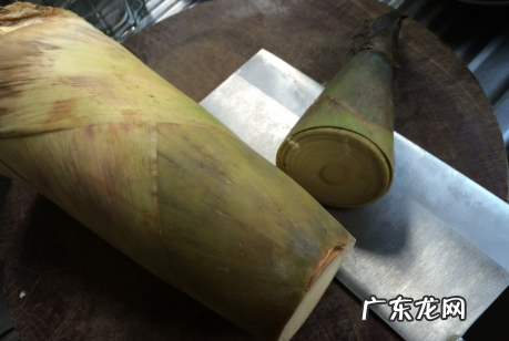 用盐腌的是什么笋,腌冬笋怎么腌法好吃