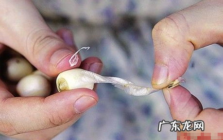 莲子怎么快速的去膜,莲子手串怎么制作方法