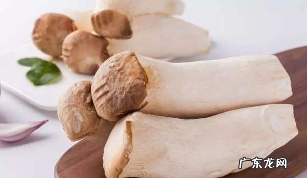 杏鲍菇放冰箱能放多久,杏鲍菇放冰箱里几天后还可以吃