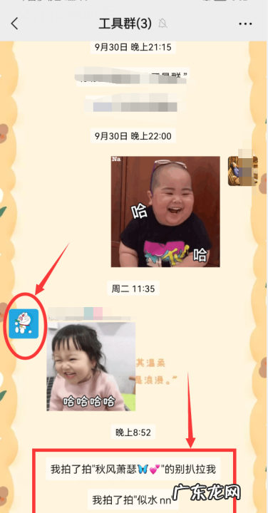 微信拍了拍谁怎么搞,微信里拍一拍在哪里弄