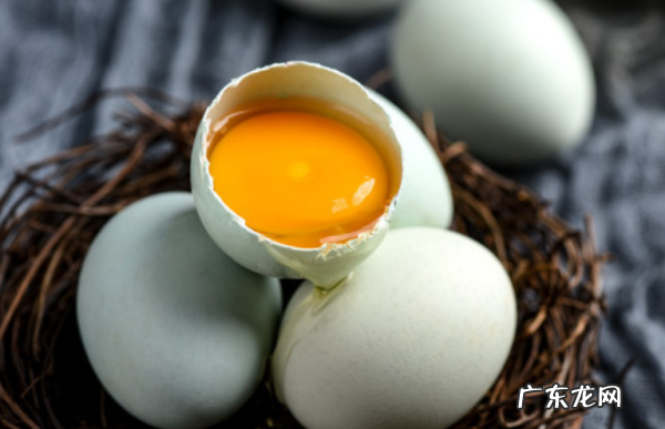 母鸡为什么会下绿鸡蛋,鸡为什么下青皮蛋