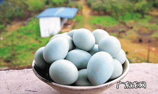 母鸡为什么会下绿鸡蛋,鸡为什么下青皮蛋