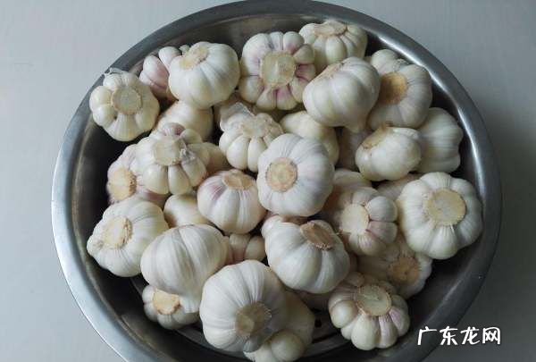 糖醋蒜汁能二次利用吗,去年腌糖蒜的汁今年还可以继续使用