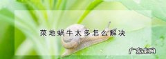 菜地里的蜗牛怎么除掉,菜地蜗牛怎样彻底消灭妙招