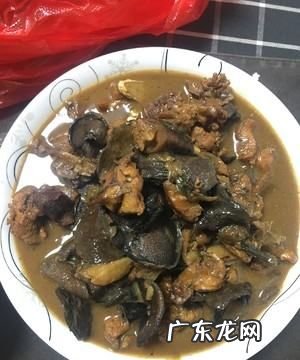 蛾怎么做好吃,蛾子炖鸡怎么炖好吃窍门