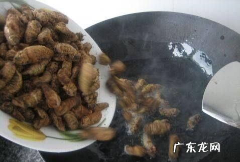 蛾怎么做好吃,蛾子炖鸡怎么炖好吃窍门